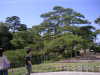 s_pict0113_thumb.png